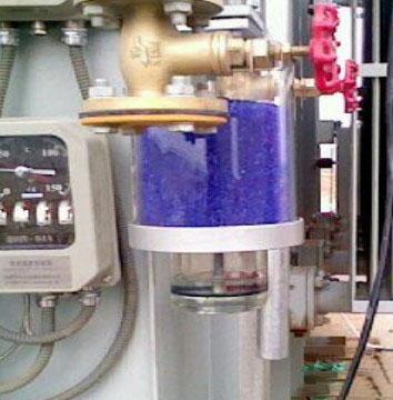 6.什么是自耦榴莲视频色版？